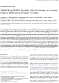 Cover page: ZPK/DLK and MKK4 Form the Critical Gateway to Axotomy-Induced Motoneuron Death in Neonates