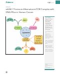 Cover page: mEAK-7 Forms an Alternative mTOR Complex with DNA-PKcs in Human Cancer