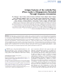 Cover page: Unique Features of the Loblolly Pine (Pinus taeda L.) Megagenome Revealed Through Sequence Annotation