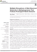 Cover page: Multiple Disruptions of Glial-Neuronal Networks in Epileptogenesis That Follows Prolonged Febrile Seizures