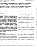 Cover page: Asymmetric dimerization of adenosine deaminase acting on RNA facilitates substrate recognition.