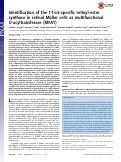 Cover page: Identification of the 11-cis-specific retinyl-ester synthase in retinal Müller cells as multifunctional O-acyltransferase (MFAT)