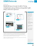 Cover page: Establishing a mouse model of lung metastases using ultrasound-guided right heart ventricle injection.