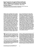 Cover page: Signal transduction through the fibronectin receptor induces collagenase and stromelysin gene expression.