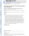 Cover page: Thermodynamics and Mechanism of the Membrane Permeation of Hv1 Channel Blockers.