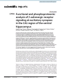 Cover page: Functional and phosphoproteomic analysis of β-adrenergic receptor signaling at excitatory synapses in the CA1 region of the ventral hippocampus.