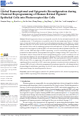 Cover page: Global Transcriptional and Epigenetic Reconfiguration during Chemical Reprogramming of Human Retinal Pigment Epithelial Cells into Photoreceptor-like Cells