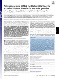 Cover page: Polycomb protein SCML2 facilitates H3K27me3 to establish bivalent domains in the male germline