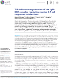 Cover page: TLR induces reorganization of the IgM-BCR complex regulating murine B-1 cell responses to infections