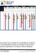 Cover page: Increased copy number for methylated maternal 15q duplications leads to changes in gene and protein expression in human cortical samples