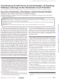 Cover page: Transforming Growth Factor-β and Interleukin-1β Signaling Pathways Converge on the Chemokine CCL20 Promoter*