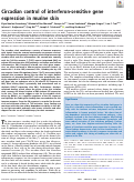 Cover page: Circadian control of interferon-sensitive gene expression in murine skin