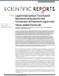 Cover page: Lignin Valorization: Two Hybrid Biochemical Routes for the Conversion of Polymeric Lignin into Value-added Chemicals