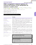 Cover page: CERKL is upregulated in cutaneous squamous cell carcinoma and maintains cellular sphingolipids and resistance to oxidative stress*