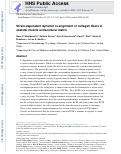 Cover page: Strain-dependent dynamic re-alignment of collagen fibers in skeletal muscle extracellular matrix.