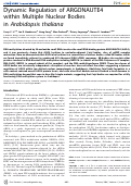 Cover page: Dynamic Regulation of ARGONAUTE4 within Multiple Nuclear Bodies in Arabidopsis thaliana