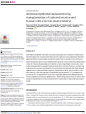 Cover page: Intestinal epithelial replacement by transplantation of cultured murine and human cells into the small intestine