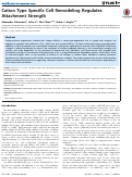 Cover page: Cation Type Specific Cell Remodeling Regulates Attachment Strength