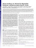 Cover page: African monkeys are infected by Plasmodium falciparum nonhuman primate-specific strains