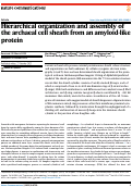 Cover page: Hierarchical organization and assembly of the archaeal cell sheath from an amyloid-like protein