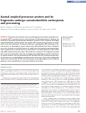 Cover page: Axonal amyloid precursor protein and its fragments undergo somatodendritic endocytosis and processing