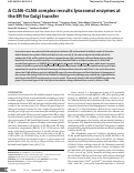 Cover page: A CLN6-CLN8 complex recruits lysosomal enzymes at the ER for Golgi transfer