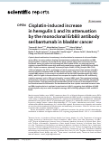 Cover page: Cisplatin-induced increase in heregulin 1 and its attenuation by the monoclonal ErbB3 antibody seribantumab in bladder cancer