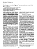 Cover page: Phylogeny of the malarial genus Plasmodium, derived from rRNA gene sequences.