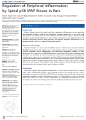 Cover page: Regulation of Peripheral Inflammation by Spinal p38 MAP Kinase in Rats