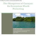 Cover page: The Mangroves of Curaçao: An Ecosystem Worth Protecting