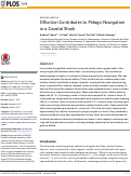 Cover page: Olfaction Contributes to Pelagic Navigation in a Coastal Shark