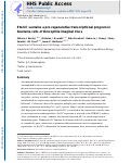 Cover page: Ets21C sustains a pro-regenerative transcriptional program in blastema cells of Drosophila imaginal discs.