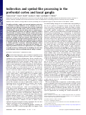 Cover page: Indirection and symbol-like processing in the prefrontal cortex and basal ganglia