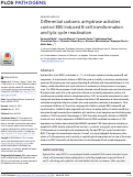 Cover page: Differential carbonic anhydrase activities control EBV-induced B-cell transformation and lytic cycle reactivation.