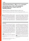 Cover page: Atypical protein kinase C (PKCζ/λ) is a convergent downstream target of the insulin-stimulated phosphatidylinositol 3-kinase and TC10 signaling pathways