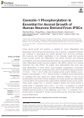 Cover page: Caveolin-1 Phosphorylation Is Essential for Axonal Growth of Human Neurons Derived From iPSCs