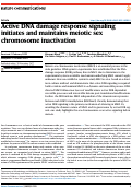 Cover page: Active DNA damage response signaling initiates and maintains meiotic sex chromosome inactivation