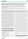 Cover page: Three SpoA-domain proteins interact in the creation of the flagellar type III secretion system in Helicobacter pylori