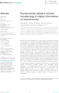 Cover page: Fluorescently labeled nuclear morphology is highly informative of neurotoxicity