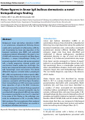 Cover page: Flame figures in linear IgA bullous dermatosis: a novel histopathologic finding