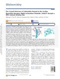 Cover page: The Crystal Structure of Calmodulin Bound to the Cardiac Ryanodine Receptor (RyR2) at Residues Phe4246–Val4271 Reveals a Fifth Calcium Binding Site