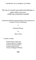 Cover page: The role of caveolin-associated microdomains in adult cardiac myocytes : cAMP and cytoskeletal assembly