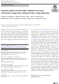 Cover page: Lumbar spinal cord microglia exhibited increased activation in aging dogs compared with young adult dogs.