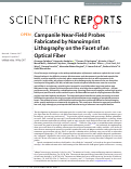 Cover page: Campanile Near-Field Probes Fabricated by Nanoimprint Lithography on the Facet of an Optical Fiber