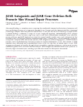 Cover page: β2AR Antagonists and β2AR Gene Deletion Both Promote Skin Wound Repair Processes