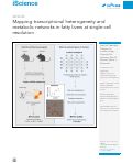 Cover page: Mapping transcriptional heterogeneity and metabolic networks in fatty livers at single-cell resolution.