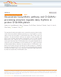 Cover page: Hexosamine biosynthetic pathway and O-GlcNAc-processing enzymes regulate daily rhythms in protein O-GlcNAcylation