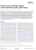Cover page: Dendritic spine morphology regulates calcium-dependent synaptic weight change