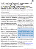 Cover page: Trop2 is a driver of metastatic prostate cancer with neuroendocrine phenotype via PARP1