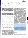 Cover page: Cysteine as a ligand platform in the biosynthesis of the FeFe hydrogenase H cluster